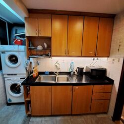 Langston Ville (D9), Apartment #450293411
